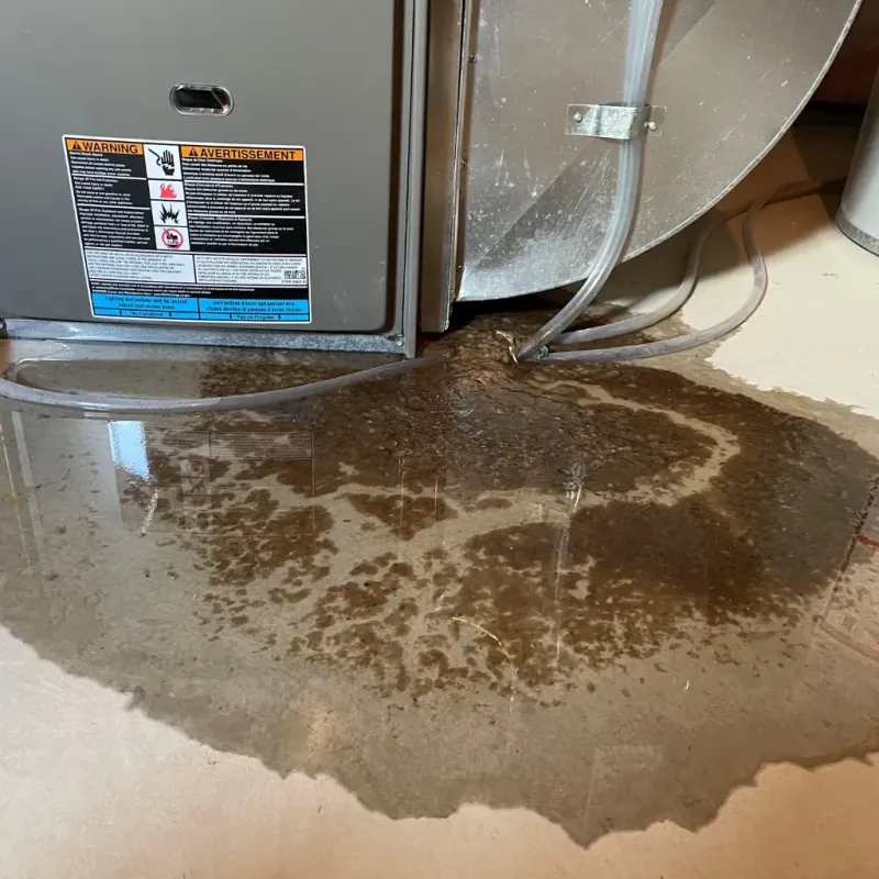 Appliance Leak Cleanup in Lincoln County, NV