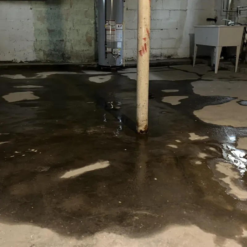 Emergency Water Extraction And Removal in Lincoln County, NV